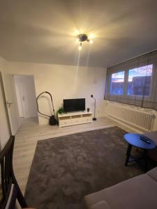 ein Wohnzimmer mit Flachbildfernseher und Couch in der Unterkunft Wuppertal am Toelleturm in Wuppertal
