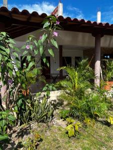 Zahrada ubytování Hospedaje PALMERAS PUNTA TRITON