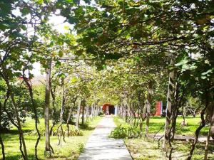 een pad door de bomen in een park bij Hotel San Javier in San Luis +28 foto's