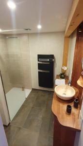 une salle de bain avec lavabo et douche dans l'établissement Le Nid des Roches, à Saint Michel la Bâtie