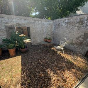 Vườn quanh loft de diseño