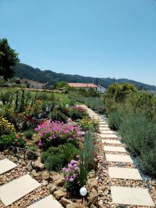 a garden with rocks and flowers on a hill at Casa 99 in Miranda do Corvo