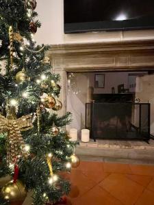 un arbre de Noël dans un salon avec une cheminée dans l'établissement Raffaello - M&M Holiday House, à Pérouse
