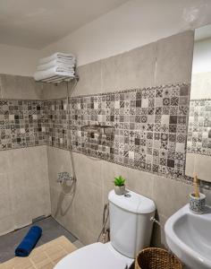 a bathroom with a toilet and a sink at Riad Dalia - Fes Medina in Fez