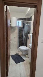 ein Badezimmer mit Toilette und Glasdusche in der Unterkunft Gold Apartman in Veternik + 7 Fotos