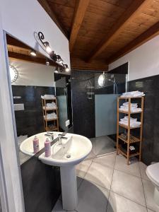 een badkamer met een wastafel en een toilet bij Agriturismo La Boschina in Crema +8 foto's