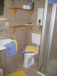 een badkamer met een toilet, een wastafel en een douche bij Apartment Hölzlbauer in Krimml +15 foto's