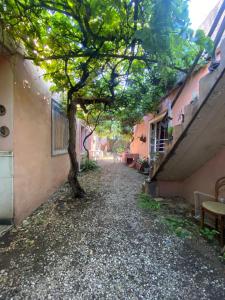 een boom midden in een grindpad bij Estrella Vladimir Hostel in Capilla del Monte