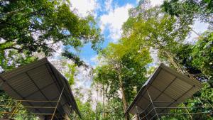 a building in the middle of the trees at Seravelle Kitulgala in Kitulgala