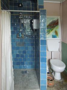 um banheiro com vaso sanitário e uma parede de azulejos azuis em Durrus em Durrus