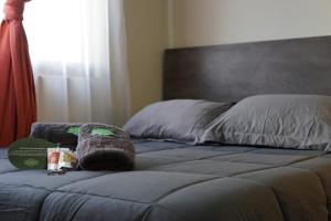 Postel nebo postele na pokoji v ubytování Hotel Boutique Parque Brasil