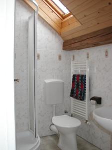 y baño con aseo y lavamanos. en Penzion Javořice, en Telč