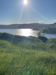 Naturlandskabet i nærheden af feriehuset