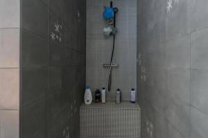 een badkamer met een douche en flessen schoonmaakmiddel bij Hiddenhausen Premium Apartment in Hiddenhausen