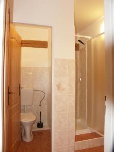 La salle de bains est pourvue d'une douche et de toilettes. dans l'établissement Penzion Javořice, à Telč