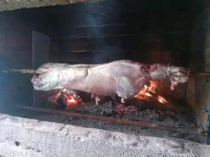 een kalkoen wordt gekookt in een oven bij Apartman,,Petko,, in Bajina Bašta