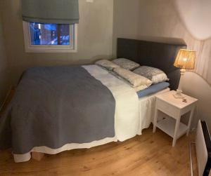 Postel nebo postele na pokoji v ubytování Lillian's gjestehus, Skibotn