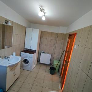 eine kleine Küche mit einer Waschmaschine und einem Waschbecken in der Unterkunft Casa Noastra in Drajna de Sus