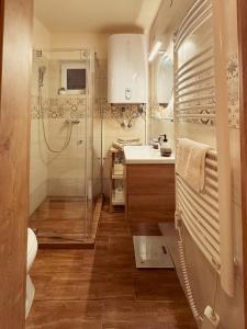 パラードシャシュヴァールにあるLélekZug Mátraのシャワー、洗面台、トイレ付きのバスルーム