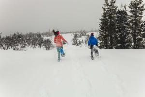 Winter Hideaway Lakeside Cabin Snowmobile om vinteren