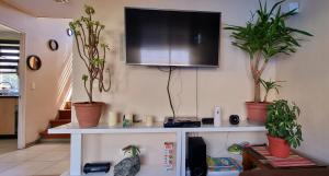 Et tv og/eller underholdning på La Estancia 399