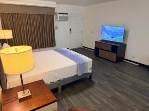 a hospital room with a bed and a television at Florentine Motel And Studio in Bell +12 photos