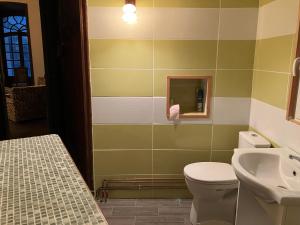 un bagno con un water e un lavandino di Chateau d'Albon - Saint Andre d'Apchon a Saint-André-dʼApchon