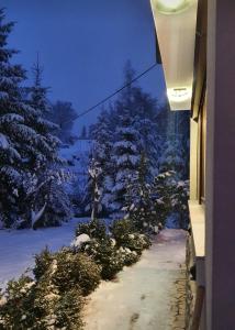 a view of a snowy yard with snow covered trees at Vila Garden River Jahorina - Sarajevo in Mokro