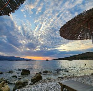 Naturlandskabet i nærheden af hotellet