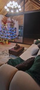 Posezení v ubytování Boga Chalet