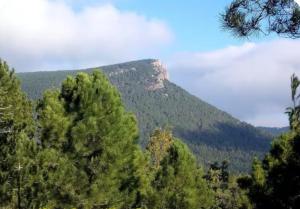 a mountain in the distance with trees in the foreground at Casa Emilia in Talayuelas