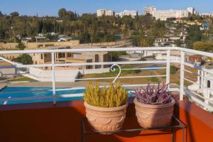 two potted plants sitting on a shelf on a balcony at Riad Imperial Atlas in Meknès