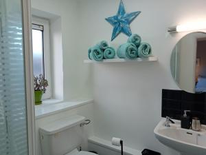 a bathroom with a toilet and a sink and a starfish at Luxurious Double En-Suite Tralee Town Centre in Tralee