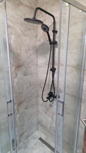 a shower with a shower head in a bathroom at Flower Apartman in Veternik