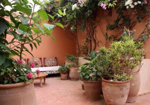 Zahrada ubytování Tifawin Home And Garden