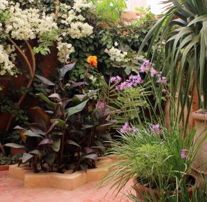 Zahrada ubytování Tifawin Home And Garden