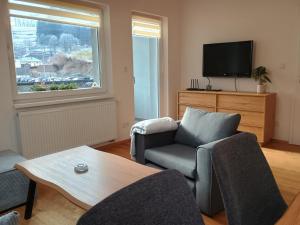 a living room with a couch and a tv at Apartmán Vail in Svoboda nad Úpou