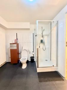 a bathroom with a toilet and a glass shower at European Lodge Rooms Brussels in Brussels +20 photos