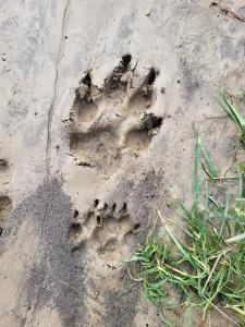 Foto  asuva majutusasutuse Landhaus in den Weinbergen galeriist