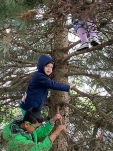Foto  asuva majutusasutuse Landhaus in den Weinbergen galeriist