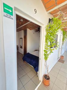 una camera da letto con un letto e una pianta in vaso di Tayau Bungalows B8 a Lo de Marcos