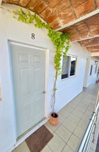 una porta d'ingresso di una casa con una pianta in vaso di Tayau Bungalows B8 a Lo de Marcos