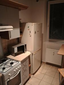 een keuken met een witte koelkast en een magnetron bij Centrum Czeski Cieszyn in Karviná