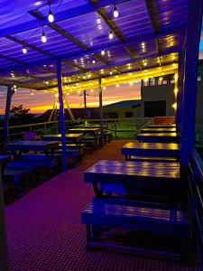 Un patio iluminado con mesas de picnic y luces. en Pupa House Hotel, en Tamarindo