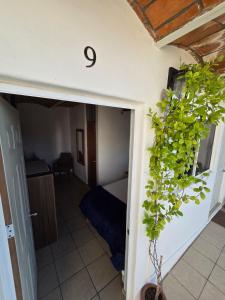 ein Zimmer mit einer Tür mit einer Pflanze an der Wand in der Unterkunft Tayau Bungalows B9 in Lo de Marcos