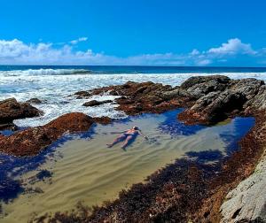 Příroda nedaleko ubytování v soukromí + 1 fotografie