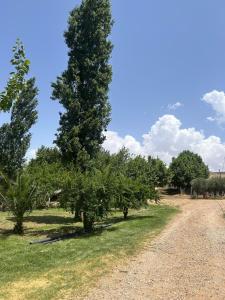 Phong cảnh thiên nhiên gần biệt thự