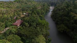 TangkahanにあるGreen Forest Tangkahanの森の家を持つ川の空中風景