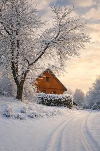 Chalupa Rubinka om vinteren