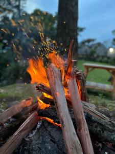 a fire pit with wood and flames at The Cozy Home Apartment in Fort Portal